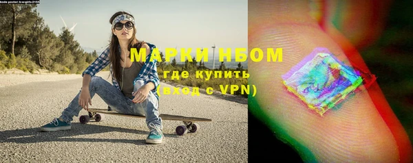 стаф Алексин